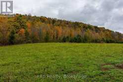 084482 6 SIDE ROAD Meaford