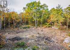 LOT A - 87 CORRIEVALE RD Georgian Bay