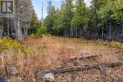 660 DORCAS BAY ROAD Northern Bruce Peninsula