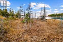 660 DORCAS BAY ROAD Northern Bruce Peninsula