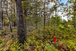 660 DORCAS BAY ROAD Northern Bruce Peninsula