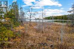 660 DORCAS BAY ROAD Northern Bruce Peninsula