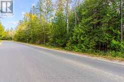 FM LT 4 NICHOLAS STREET Northern Bruce Peninsula