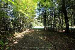 00 LOVERS LANE Parry Sound, District