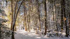 LOT 5 TRILLIUM CROSSING Northern Bruce Peninsula