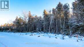 LOT 5 TRILLIUM CROSSING Northern Bruce Peninsula