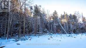 LOT 5 TRILLIUM CROSSING Northern Bruce Peninsula