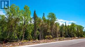 LOT 5 TRILLIUM CROSSING Northern Bruce Peninsula