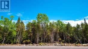 LOT 5 TRILLIUM CROSSING Northern Bruce Peninsula