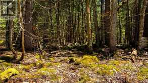 LOT 5 TRILLIUM CROSSING Northern Bruce Peninsula