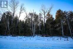 LOT 13 TRILLIUM CROSSING Northern Bruce Peninsula