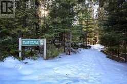 LOT 13 TRILLIUM CROSSING Northern Bruce Peninsula