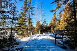 LOT 13 TRILLIUM CROSSING Northern Bruce Peninsula