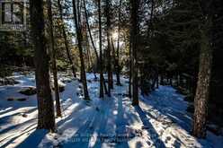 LOT 13 TRILLIUM CROSSING Northern Bruce Peninsula