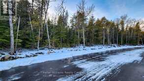 LOT 13 TRILLIUM CROSSING Northern Bruce Peninsula