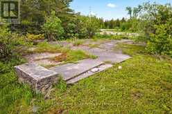 17 DYERS BAY ROAD Northern Bruce Peninsula