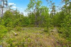 17 DYERS BAY ROAD Northern Bruce Peninsula