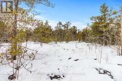 17 DYERS BAY ROAD Northern Bruce Peninsula