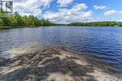 15KL2 KAHSHE Gravenhurst