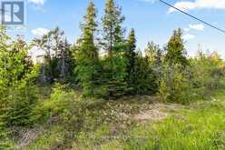 UNIT 39 TAMARAC ROAD Northern Bruce Peninsula