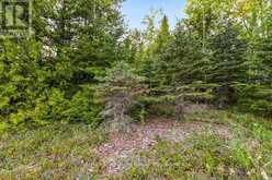 UNIT 39 TAMARAC ROAD Northern Bruce Peninsula