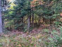 0 SUGAR BUSH ROAD E Magnetawan