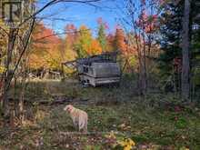 0 SUGAR BUSH ROAD E Magnetawan