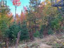 0 SUGAR BUSH ROAD E Magnetawan