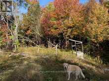 0 SUGAR BUSH ROAD E Magnetawan