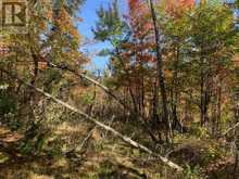 0 SUGAR BUSH ROAD E Magnetawan