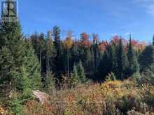 0 SUGAR BUSH ROAD E Magnetawan