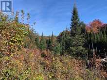 0 SUGAR BUSH ROAD E Magnetawan