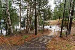 V15 W9 - 1020 BIRCH GLEN ROAD Lake of Bays