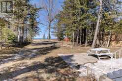 278 COASTLINE DRIVE Wasaga Beach