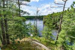 998 GULL LAKE Gravenhurst 