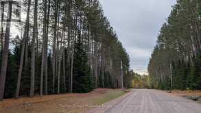 2 RED PINE TRAIL Bracebridge