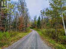 LOT 2 QUINN ROAD Whitestone