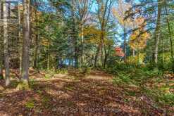 1031 CARL FISHER DRIVE Lake of Bays