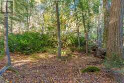 1031 CARL FISHER DRIVE Lake of Bays