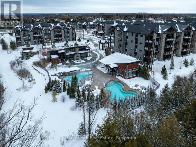 305 - 10 BEAUSOLEIL LANE The Blue Mountains Ontario