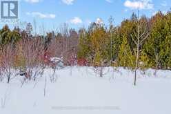 57 MAPLE GOLF CRESCENT Northern Bruce Peninsula