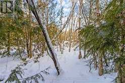 57 MAPLE GOLF CRESCENT Northern Bruce Peninsula