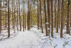 57 MAPLE GOLF CRESCENT Northern Bruce Peninsula