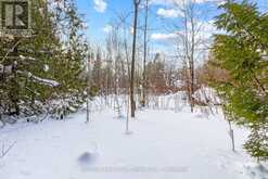 57 MAPLE GOLF CRESCENT Northern Bruce Peninsula