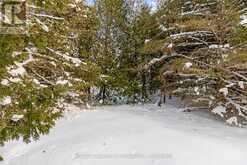 57 MAPLE GOLF CRESCENT Northern Bruce Peninsula