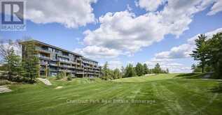 410 - 120 CARRICK TRAIL Gravenhurst