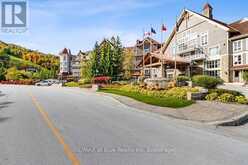 272 - 220 GORD CANNING DRIVE The Blue Mountains