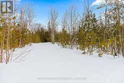 PT 9/10 HIGHWAY 6 Northern Bruce Peninsula