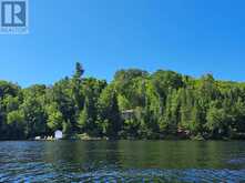 4441 MUSKOKA RD 117 ROAD Lake of Bays