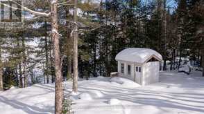 4441 MUSKOKA RD 117 ROAD Lake of Bays